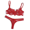 Conjunto de Lenceria Rojo