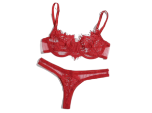 Conjunto de Lenceria Rojo